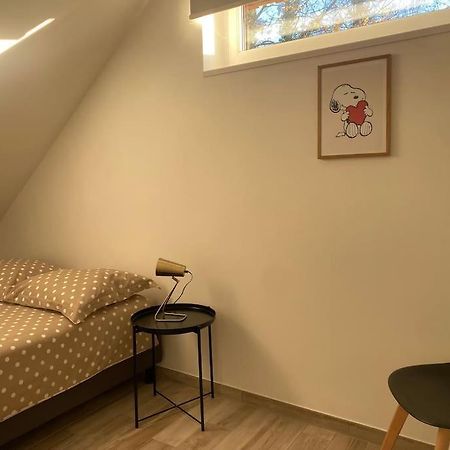 Appartement Dans Une Grange Renovee Strasbourg Bagian luar foto